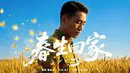 【剧情片】春生回家